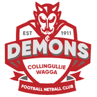 Collingullie Football & Netball Club